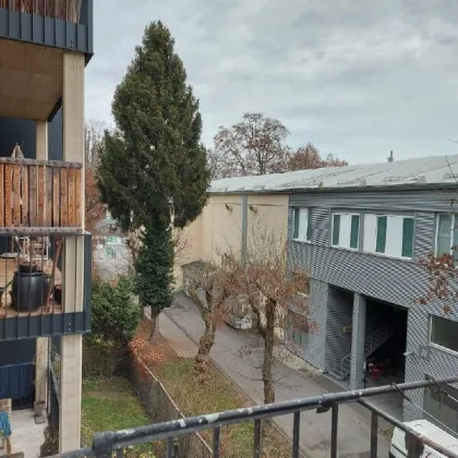 2-Zimmer Wohnung in Jakomini! - Bild 3