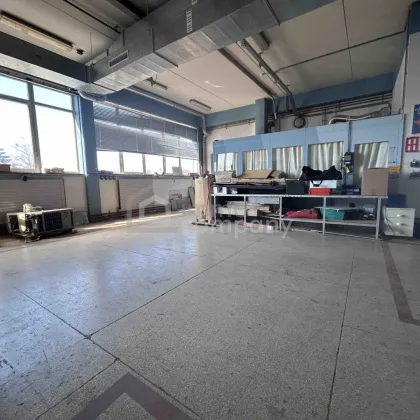 Attraktives (Gewerbe-)Lager mit Lastenlift, Büro und Parkplätze (OG, 234qm) - Bild 3