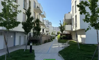 Attraktive 2-Zimmer-Wohnung mi Freifläche - ab 01.07.2025!