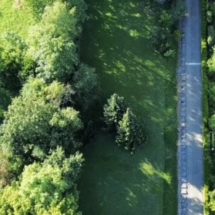 Baulandgrundstück in begehrter Lage - Wien Umgebung - Bild 3