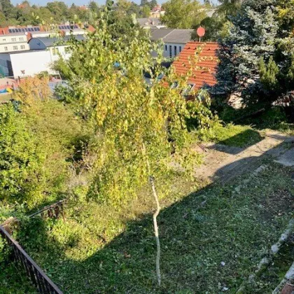 Ihr Sonnengrundstück im begehrten Sachsenviertel - Bild 3