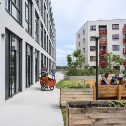 Produktionsfläche im Gewerbehof Seestadt - Provisionsfrei - Bild 2