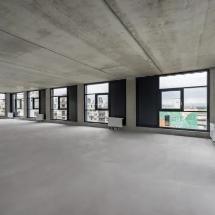 Moderne Produktionsfläche mit Lastenlift & Ladehof – direkt in der Seestadt - Bild 2