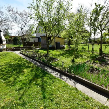 Haus mit wunderschönem Garten und Ausbaupotential in Ansfelden - Bild 3