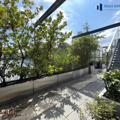 Neuwertiges PENTHOUSE mit 3 Terrassen mitten in Wien - Bild 2