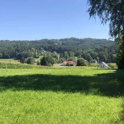 Baugrundstück 800 m² Ganztagssonne TOPLAGE in 8045 Weinitzen mit Schöcklblick - Bild 2
