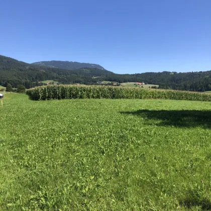 Baugrundstück 800 m² Ganztagssonne TOPLAGE in 8045 Weinitzen mit Schöcklblick - Bild 3