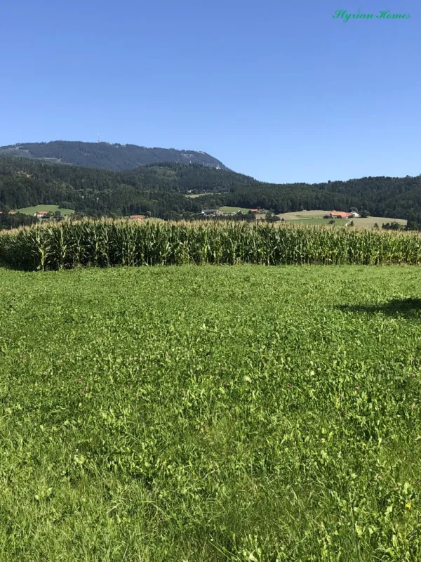 Baugrundstück 800 m² Ganztagssonne TOPLAGE in 8045 Weinitzen mit Schöcklblick - Bild 1