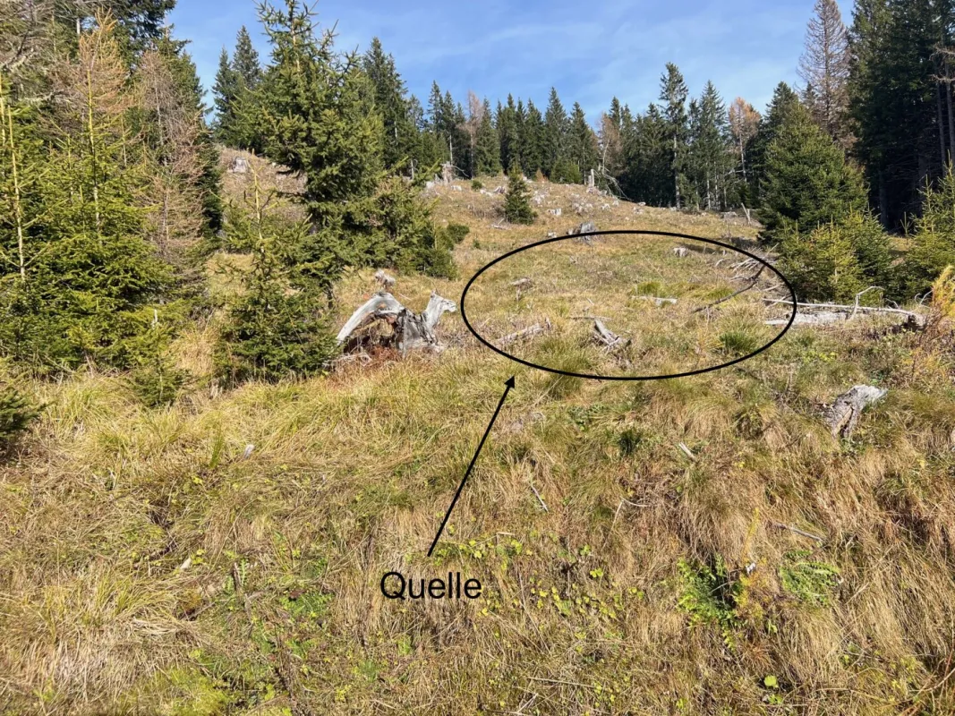 11 ha Wald in Murau Umgebung - Bild 1