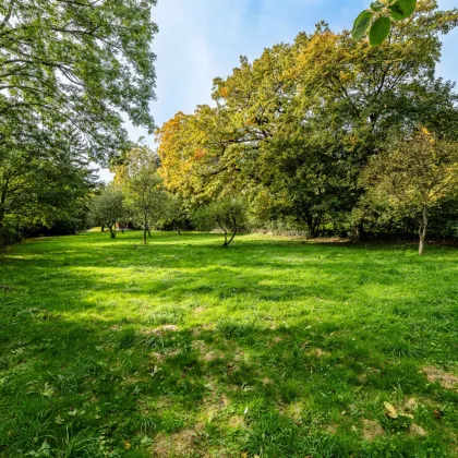 Exklusive Villa in begehrter Lage | Grundstücksfläche ca. 3.718m2 - Bild 3