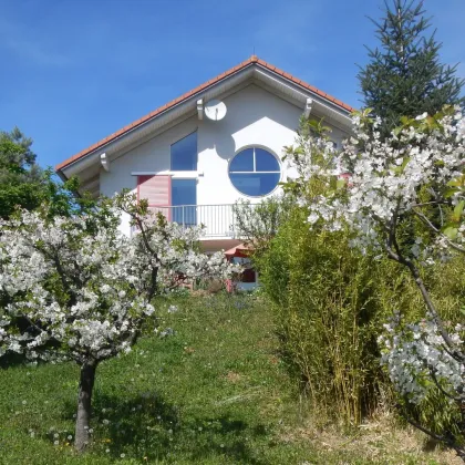 TOP GELEGENHEIT TRAUMHAUS IN RUHE UND AUSSICHTLAGE IM SÜDBURGENLAND! - Bild 2