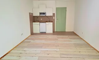 Garconniere mit Terrasse - stadtnahe Wohnlage Parsch