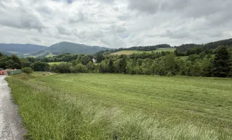 Bromberg - Bad Erlach-Nähe - neu parzellierte, sonnige Baugrundstücke in leichter Hanglage ab € 76.450,00!