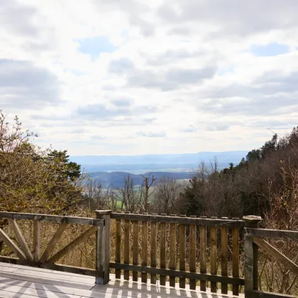 1.000 m² Chalet mit Fernblick - 1ha Grund - Hohe Wand (45 min von Wien) - Bild 3