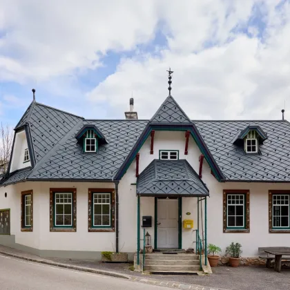 1.000 m² Chalet mit Fernblick - 1ha Grund - Hohe Wand (45 min von Wien) - Bild 2