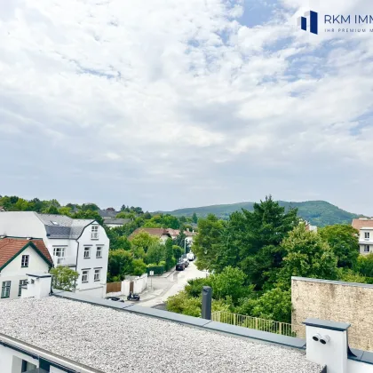 Neubau-Reihenhaus mit Garten und Dachterrasse, nahe dem Wienerwald - Bild 2