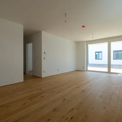 Wohnen in Ihrem neuen Wohn(T)raum - Schlüsselfertiger ERSTBEZUG direkt in Spillern - Bild 2