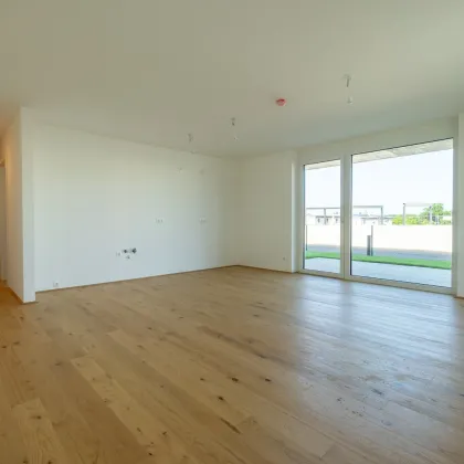 Wohnen in Ihrem neuen Wohn(T)raum - Schlüsselfertiger ERSTBEZUG direkt in Spillern - Bild 3