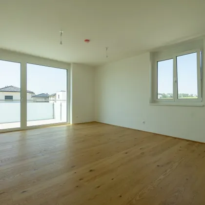 Wohnen in Ihrem neuen Wohn(T)raum - Schlüsselfertiger ERSTBEZUG direkt in Spillern - Bild 3