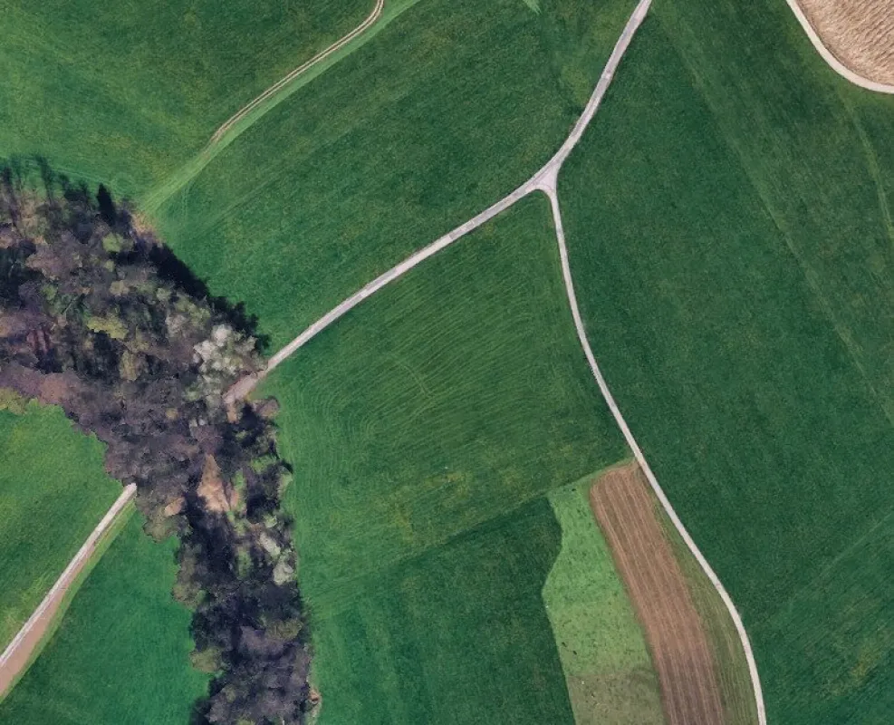 1,8 Hektar Grünland in Seekirchen Marschalln für landwirtschaftliche Zwecke und zur Kapitalanlage - Bild 1