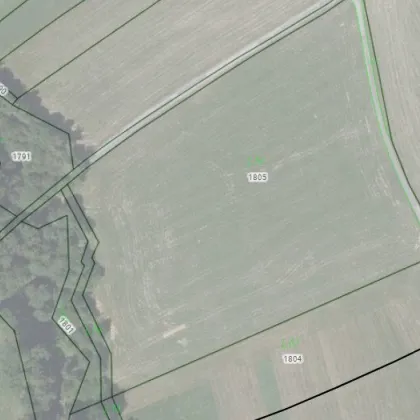 1,8 Hektar Grünland in Seekirchen Marschalln für landwirtschaftliche Zwecke und zur Kapitalanlage - Bild 2