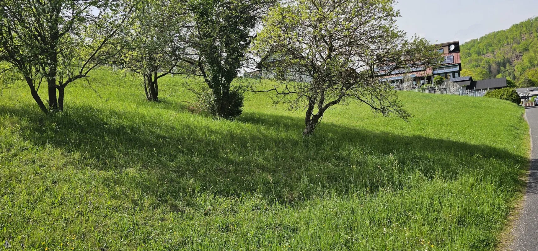RUHELAGE 15 Min von Graz – großzügiges, sonniges, Grundstück in leichter Hanglage (teilbar) - Bild 1