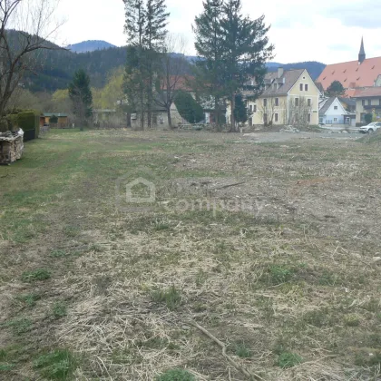 Traumhaftes Baugrundstück in Neuberg an der Mürz: 4701m² mit herrlichem Grünblick! - Bild 2