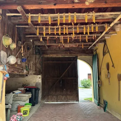 NÄHE LOCKENHAUS: HÜBSCHER BAUERNHOF MIT GROSSEM GARTEN/ANBAUFLÄCHE - Bild 3