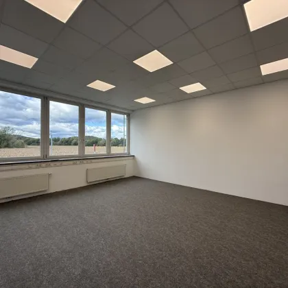 +++ ecobase +++ 135m² Bürofläche zu vermieten - Bild 3