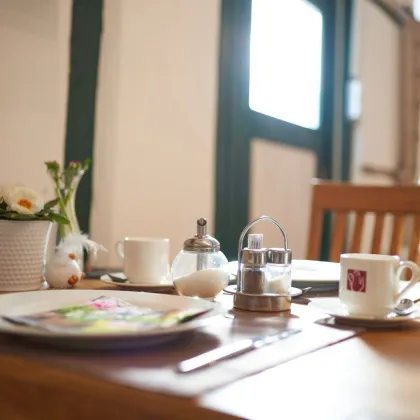 Gut eingeführtes Gästehaus in Schwarzau am Steinfeld – gepflegt, charmant und sofort verfügbar! - Bild 3