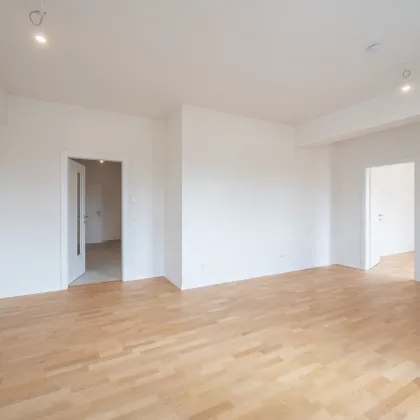 2-Zimmer-Wohnung mit großflächiger Terrasse in 2232 Deutsch-Wagram! - Bild 2