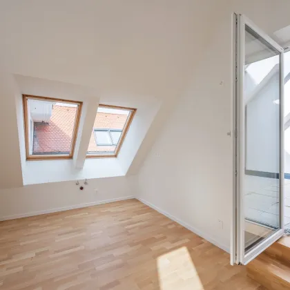 Moderne 2-Zimmer-Wohnung mit privater Terrasse in Deutsch-Wagram - Bild 3