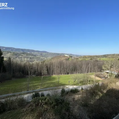 Rarität für Naturliebhaber - Bild 2