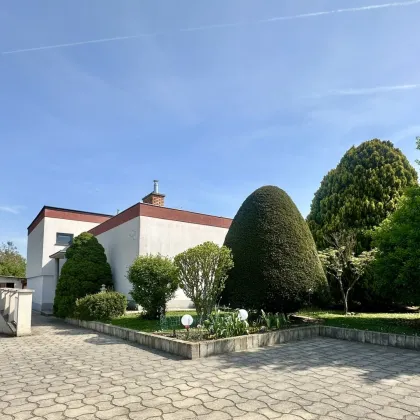 Familienidylle trifft Handwerkertraum - charmantes Haus mit Profiwerkstatt, Hebebühne & großem Garten - Bild 2