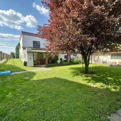 Familienidylle trifft Handwerkertraum - charmantes Haus mit Profiwerkstatt, Hebebühne & großem Garten - Bild 3