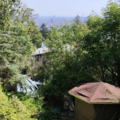 Doppelparzelle am Predigtstuhl mit toller Aussicht – Toplage! - Terrasse, Garten, Wohnhaus - Bild 2
