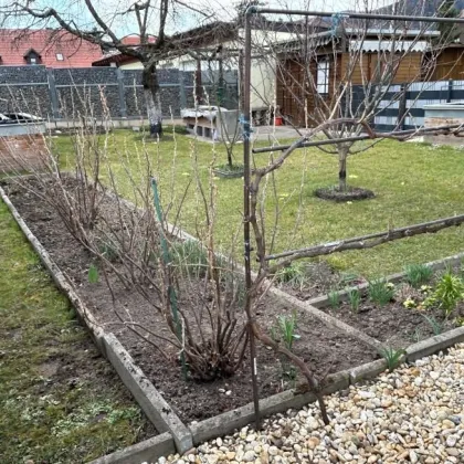 Gemütliche Eigentumswohnung mit großem Garten und Gartenhütte in 8661 St. Barbara im Mürztal - Wartberg - Bild 3