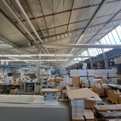 A2 Baden: Flexible Produktionshalle - Bild 2