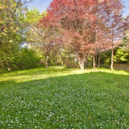 Ebenes Grundstück in ruhiger Sackgasse | sanierungsbedürftiges Einfamilienhaus mit idyllischer Garten | rd. 180 m² verbaubar - Bild 3