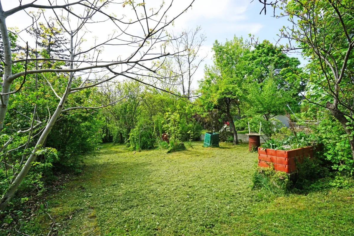 Grünruhelage: Baugrund mit Abbruchhaus zwischen Hanusch KH und Flötzersteig - Bild 1
