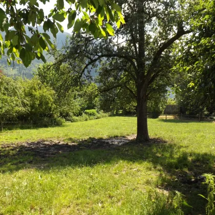ATTRAKTIVE GRUNDSTÜCKE (ca. 2.800m²) IN RUHIGER LAGE - Bild 2