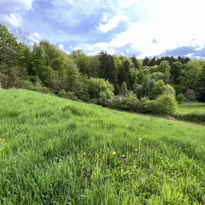 Baugrundstück in Sinabelkirchen - Ruhig, sonnig & zentrumsnah - Bild 2