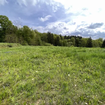 Baugrundstück in Sinabelkirchen - Ruhig, sonnig & zentrumsnah - Bild 3