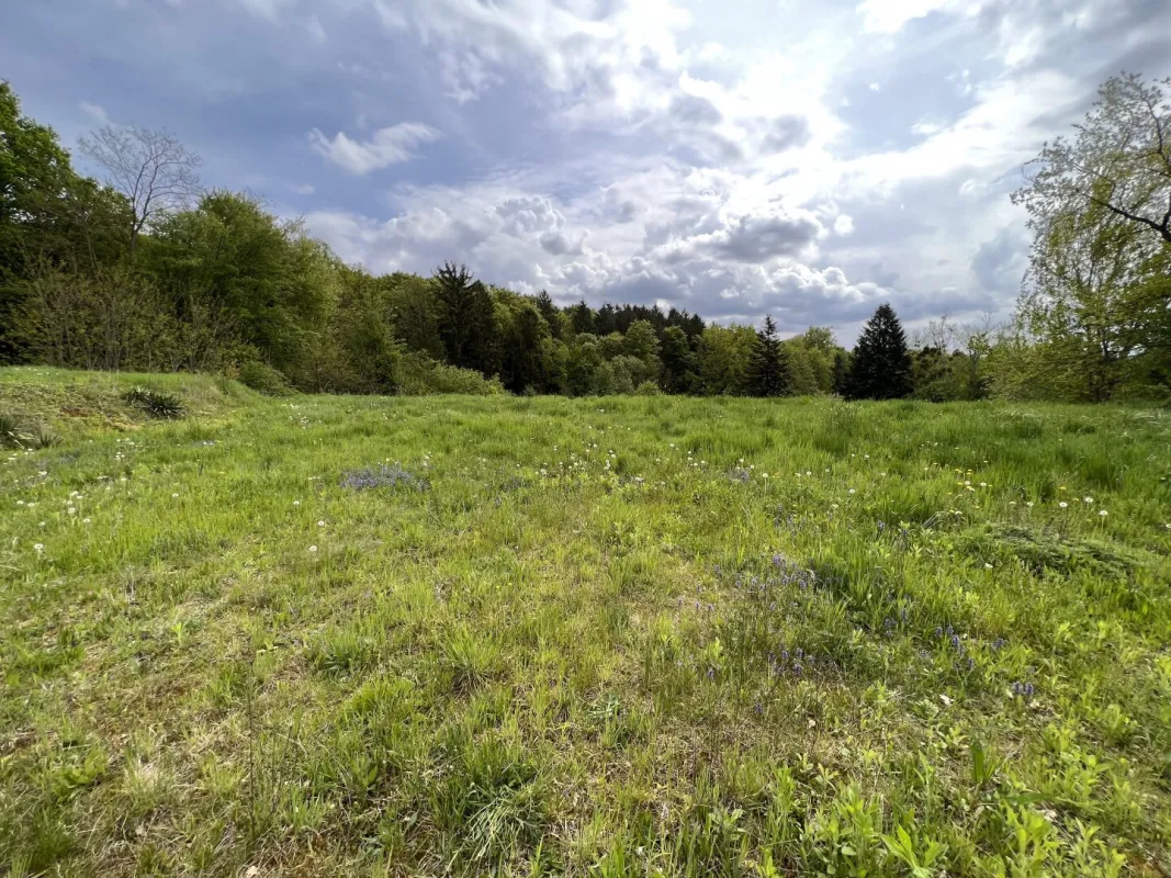 Baugrundstück in Sinabelkirchen - Ruhig, sonnig & zentrumsnah - Bild 1