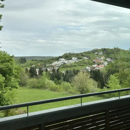 +++ Gepflegtes Quattroviertelhaus, in sehr guter Lage, Nähe Mattersburg! Keller, Carport, Loggia, Kachelofen! +++ - Bild 3