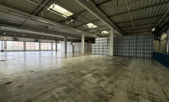 Moderne Büro- und Lagerflächen in Top-Lage im Herzen von Wels