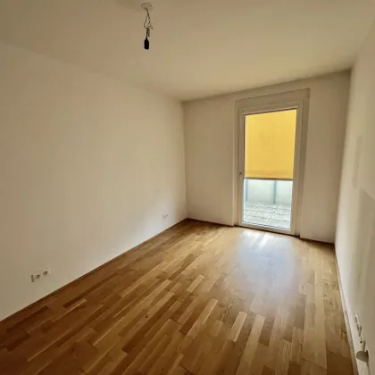 Südstadtzentrum! Verfügbare Mieteinheiten in der grünen Südstadt, Maria Enzersdorf! BT 2 - Bild 2
