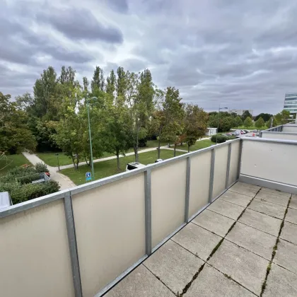 Südstadtzentrum! Verfügbare Mieteinheiten in der grünen Südstadt, Maria Enzersdorf! BT 2 - Bild 3