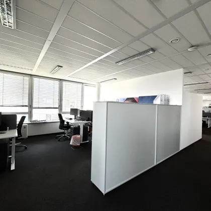 1190! SKYLINE BÜRO: Bürofläche (teilbar) direkt bei U4/Station Spittelau! - Bild 3