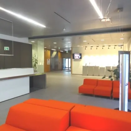 EURO PLAZA! Moderne Bürofläche MIT 54 m² TERRASSE ab 09/26! - Bild 3